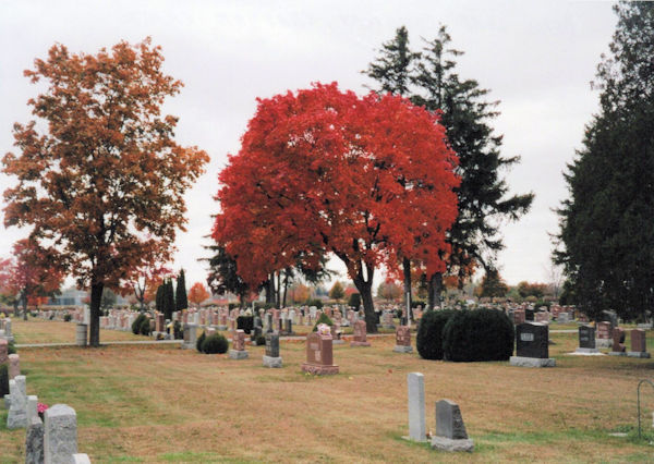 CHATHAM (MAPLE LEAF) CEMETERY