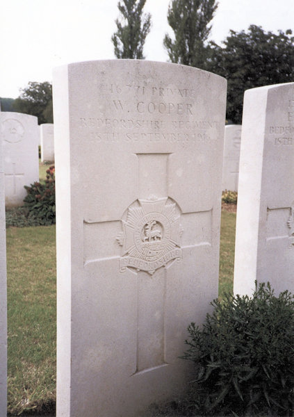William Cooper