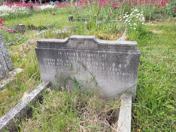 Albert Salisbury