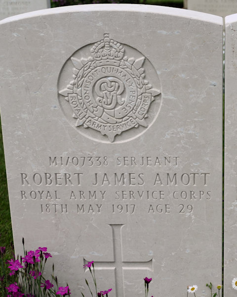 Robert James Amott
